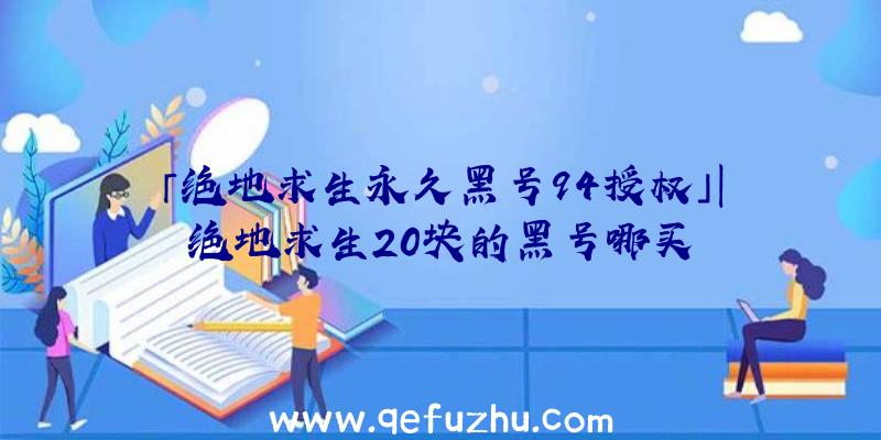 「绝地求生永久黑号94授权」|绝地求生20块的黑号哪买